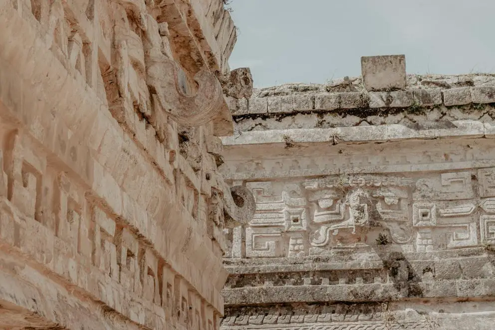 Clearing Your Viewing History on Amazon Prime Video