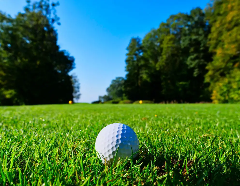 The Debate on Golf Is It a Competitive Sport or Casual Pastime?